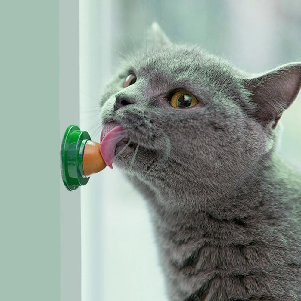 Nutritional Catnip Fish Gel Energy Licking Candy 4