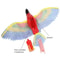 Electric Hanging Flying Bird Interactive Toy 6