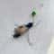 Interactive Plush Insect Replacement Teasers 3