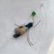 Interactive Plush Insect Replacement Teasers 3