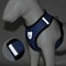 EscapeProof Reflective Cat Harness Leash Set 3