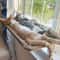 Ultra Soft SpaceSaving Cat Window Hammock 1