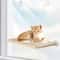 Ultra Soft SpaceSaving Cat Window Hammock 3
