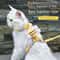 Cartoon Bee Adjustable Cat Harness Leash Set 0