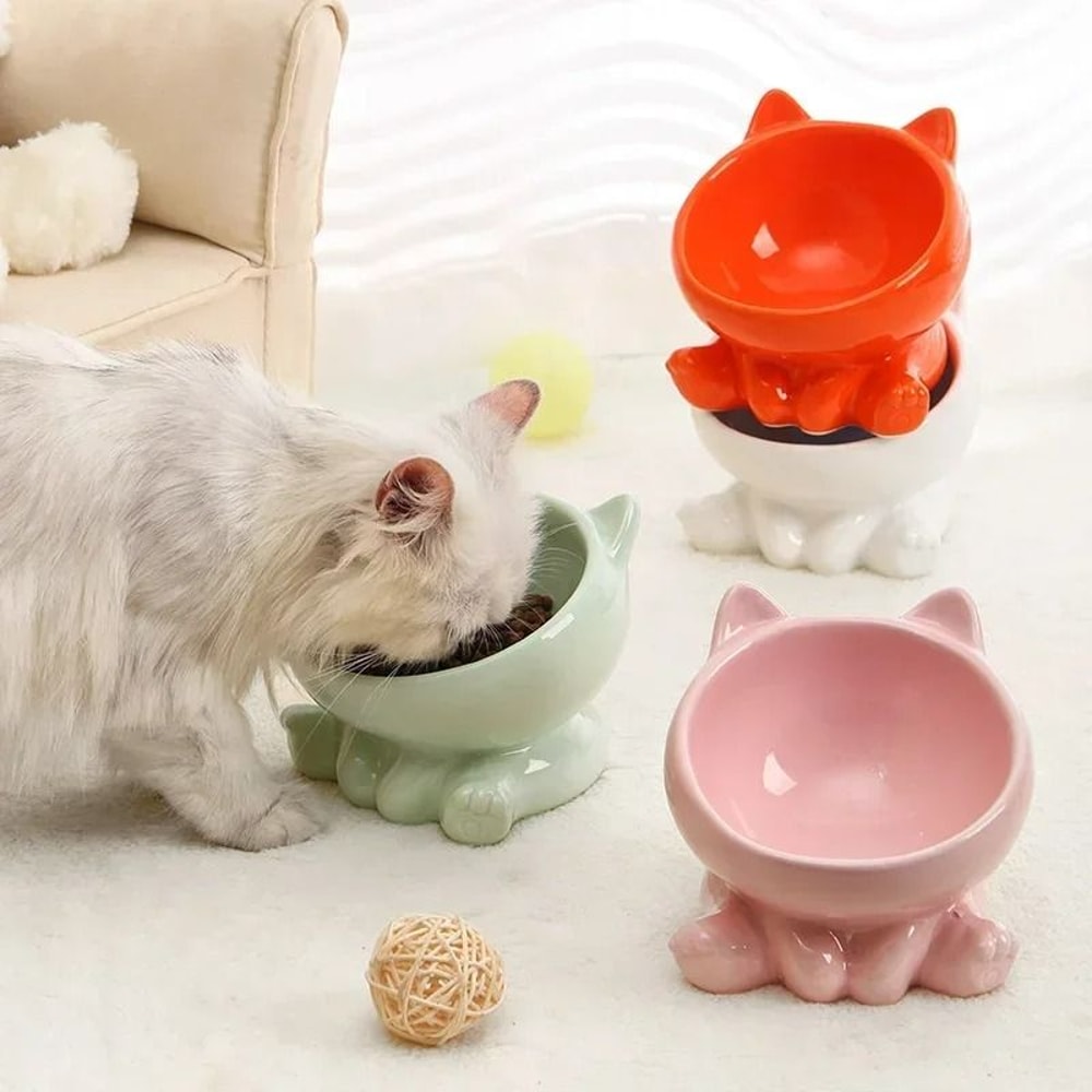 Ergonomic Elevated Ceramic Pet Bowl 0