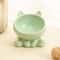 Ergonomic Elevated Ceramic Pet Bowl 10