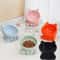 Ergonomic Elevated Ceramic Pet Bowl 1