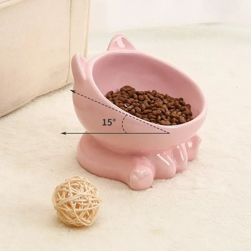 Ergonomic Elevated Ceramic Pet Bowl 4