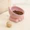 Ergonomic Elevated Ceramic Pet Bowl 4
