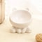 Ergonomic Elevated Ceramic Pet Bowl 7