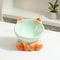 Ergonomic Elevated Ceramic Pet Bowl 13