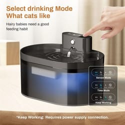 smart runway motion-sensing automatic pet fountain (2.2l)