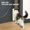 Automatic Indoor Pet Door Opener Training Set 1