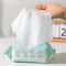 Moisturizing Deodorizing Daily Pet Grooming Wipes 100 Count 3