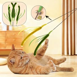 wild-tail long pole feather teaser wand