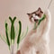 WildTail Long Pole Feather Teaser Wand 2