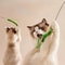 WildTail Long Pole Feather Teaser Wand 4