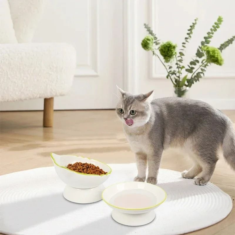 Ergonomic Stable Elevated Pet Feeding Bowl 1