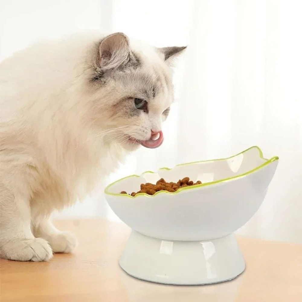 Ergonomic Stable Elevated Pet Feeding Bowl 2