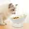 Ergonomic Stable Elevated Pet Feeding Bowl 2