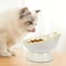 Ergonomic Stable Elevated Pet Feeding Bowl 2