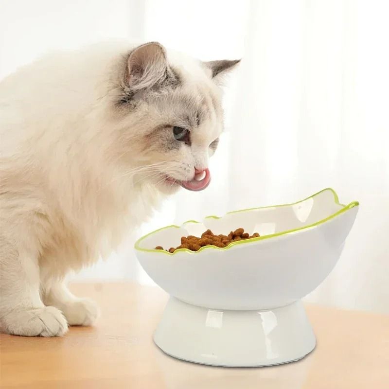 Ergonomic Stable Elevated Pet Feeding Bowl 2