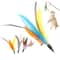 Colorful Feather Teaser Replacement Heads 5Piece Set 1