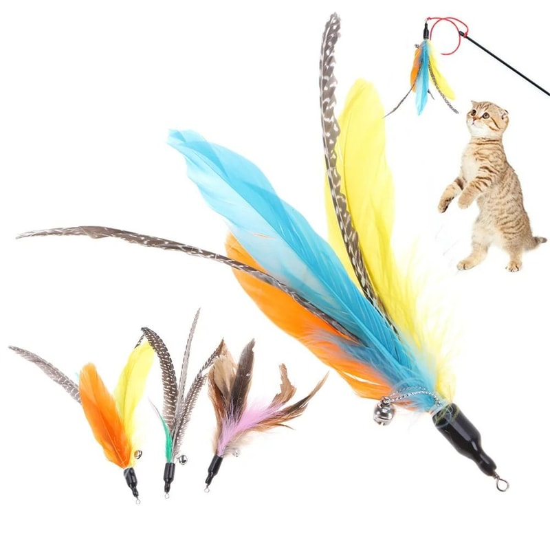 Colorful Feather Teaser Replacement Heads 5Piece Set 1