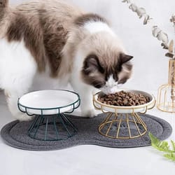 orthopedic elevated ceramic pet dining set