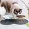 Orthopedic Elevated Ceramic Pet Dining Set 0