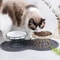 Orthopedic Elevated Ceramic Pet Dining Set 0