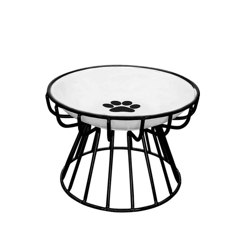 Orthopedic Elevated Ceramic Pet Dining Set 2