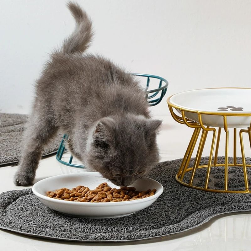 Orthopedic Elevated Ceramic Pet Dining Set 4