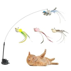 hands-free suction cup simulation feather teaser