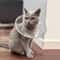 UltraLightweight Comfort Recovery Cone Collar 0