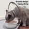 UltraLightweight Comfort Recovery Cone Collar 1
