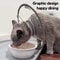 UltraLightweight Comfort Recovery Cone Collar 1