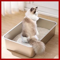 high-sided 304 stainless steel hygiene litter tray