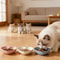 Shallow Ergonomic Pet Feeding Set 3Piece Variety Pack 3