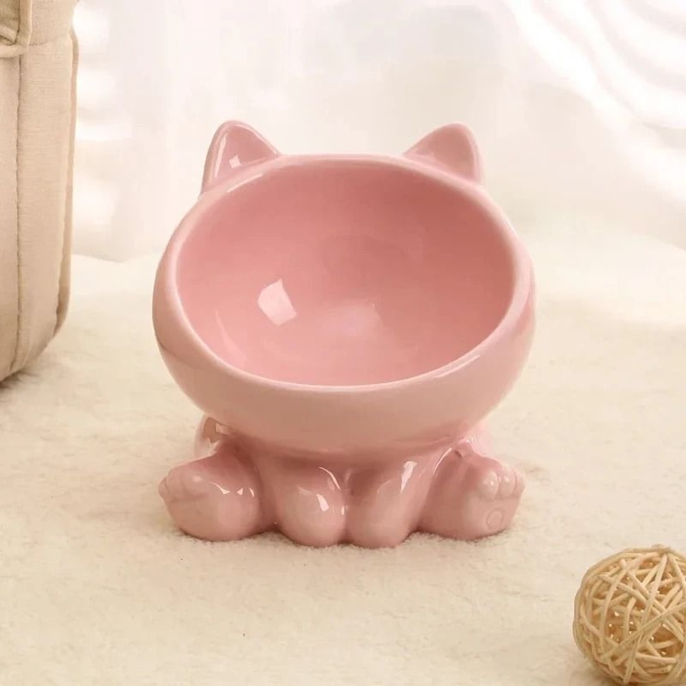 Ergonomic Elevated Ceramic Pet Dining Bowl 3