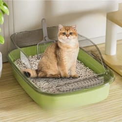 semi-enclosed anti-tracking privacy litter box