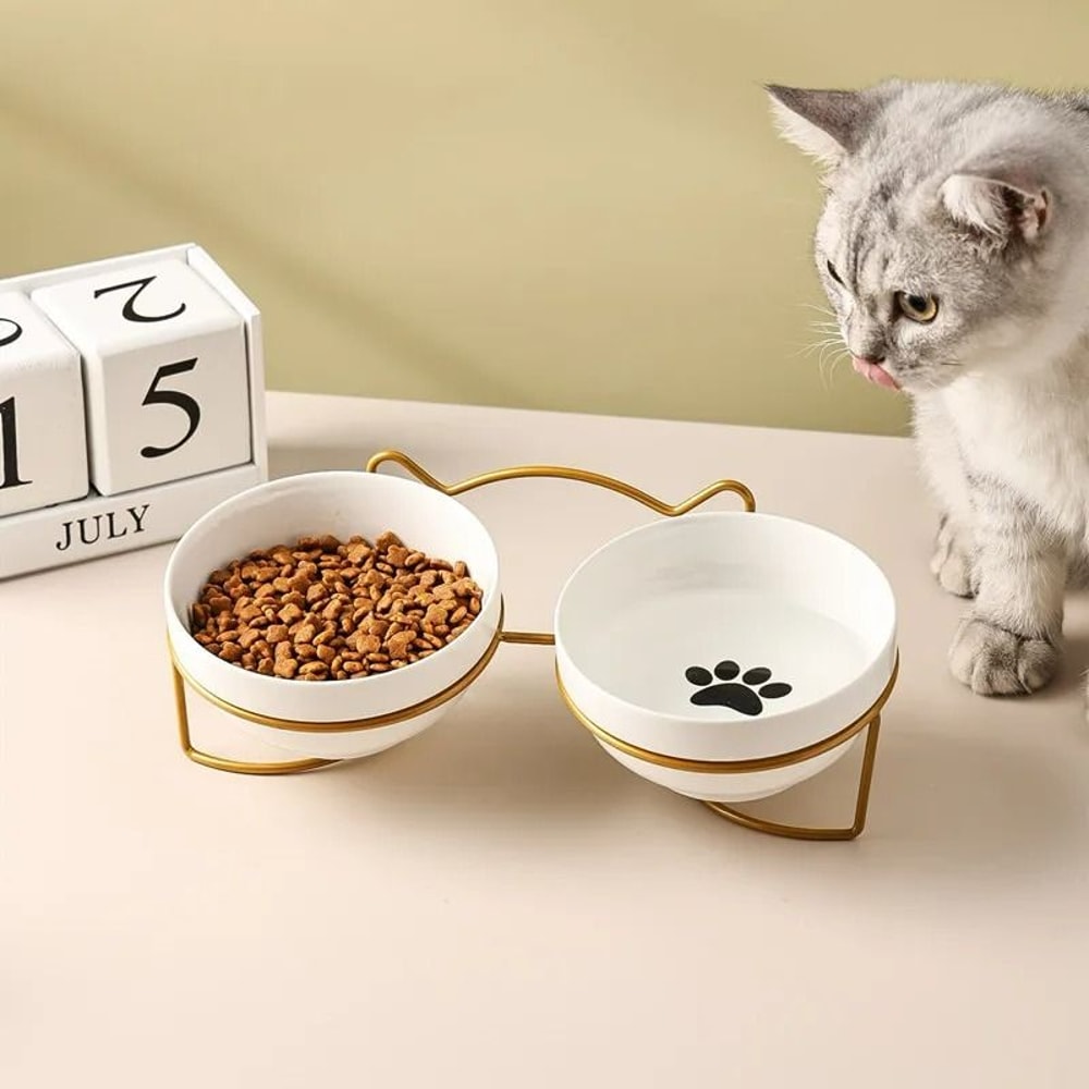 Orthopedic DoubleStation Ceramic Dining Set 0