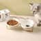 Orthopedic DoubleStation Ceramic Dining Set 0