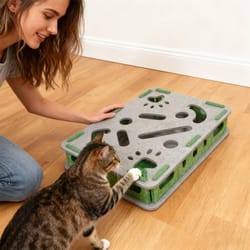 2-in-1 interactive scratch box & puzzle station
