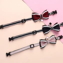 elegant lace & bowknot boutique pet collar