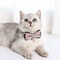 Elegant Lace Bowknot Boutique Pet Collar 3