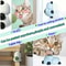 100 Natural Rotatable Catnip Wall Sphere 4
