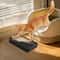 Universal AntiTracking Litter Box Ramp Step 4