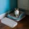 Universal AntiTracking Litter Box Ramp Step 6
