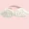 Holiday Enchantment Pet Costume Accessory Set 6